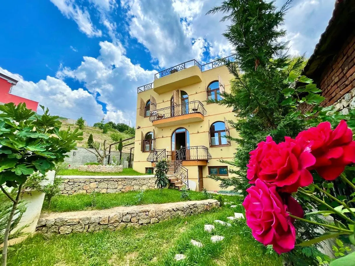 Villa Konda Tushemisht Pogradec location